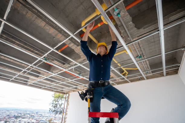 Best Emergency Plumber  in Wliamsvle, IL