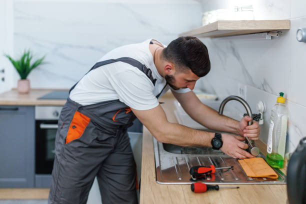 Best Commercial Plumbing Services  in Wliamsvle, IL