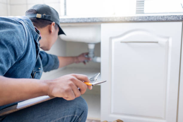 Best Clogged Drain Plumber  in Wliamsvle, IL