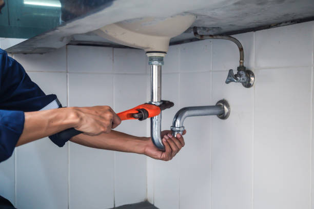 Best Leak Detection Services  in Wliamsvle, IL