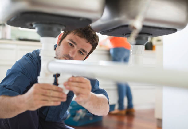 Best Plumbing Services Near Me  in Wliamsvle, IL