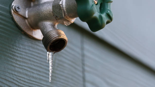 Best Sewer Line Repair  in Wliamsvle, IL