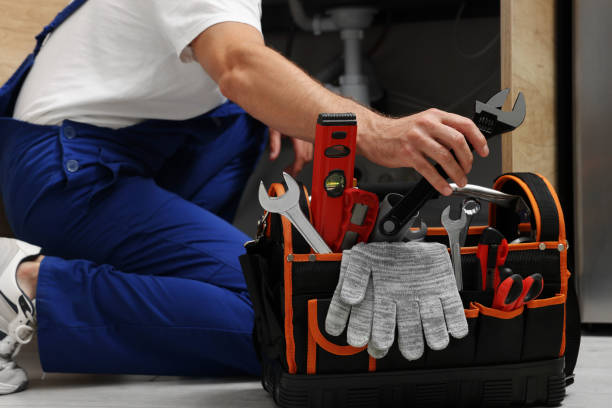 Best Sprinkler Systems  in Wliamsvle, IL