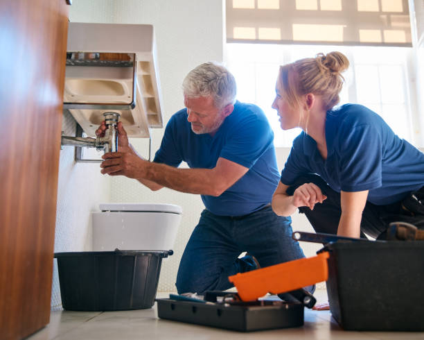 Best Plumbing Inspection Services  in Wliamsvle, IL